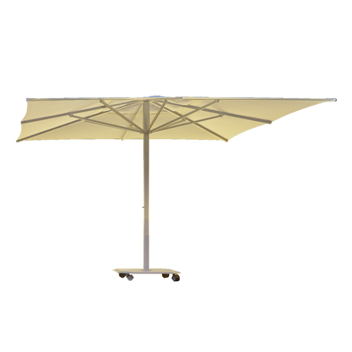 Carnelia parasol Inside Out Contracts