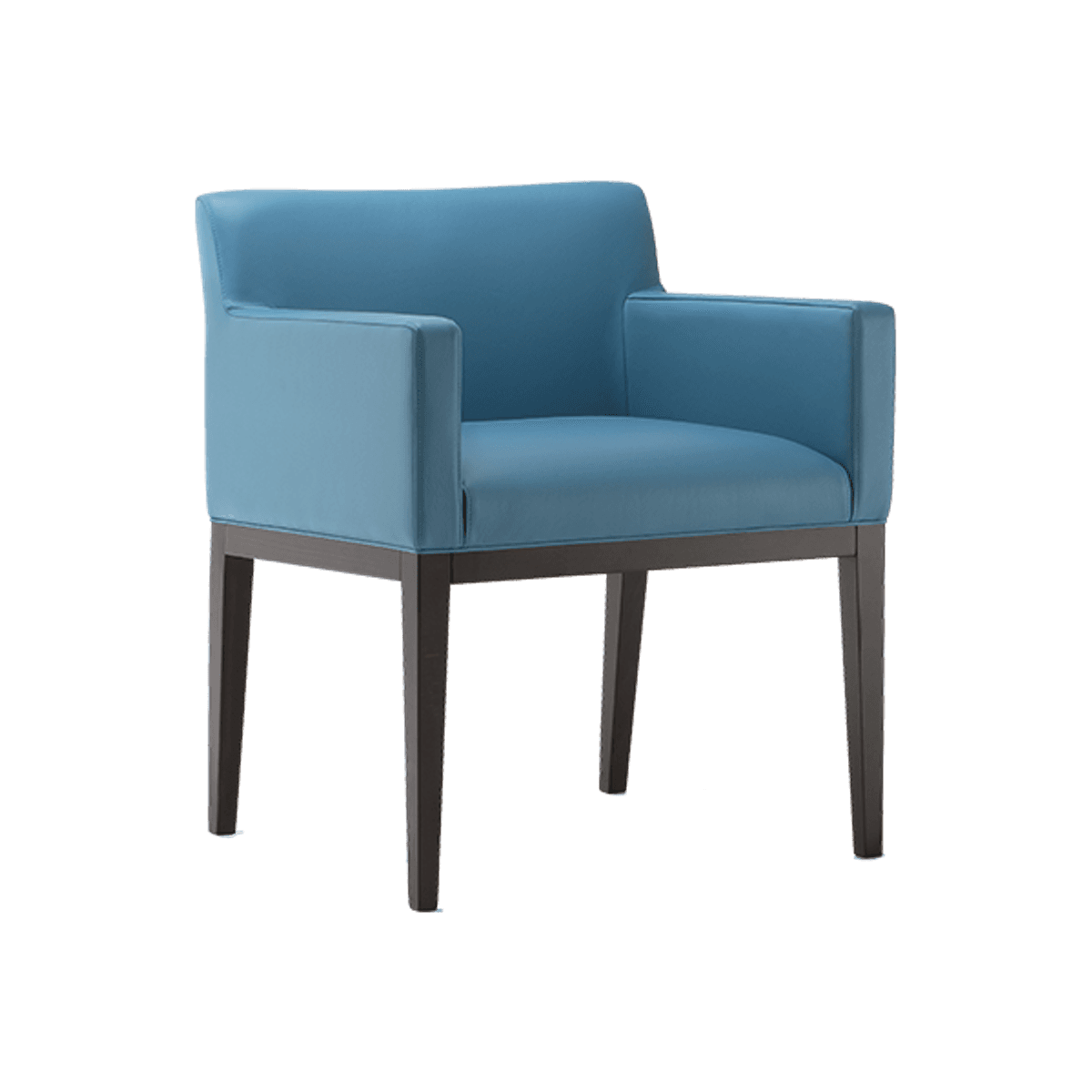 Web Santa Monica Lounge Chair