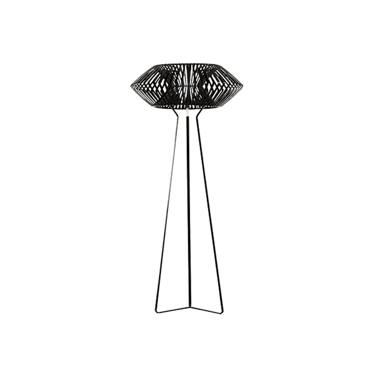 Web V Floor Lamp